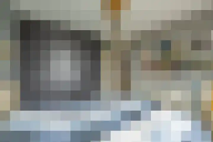 Traptoren 6 Middelburg thumbnail 33