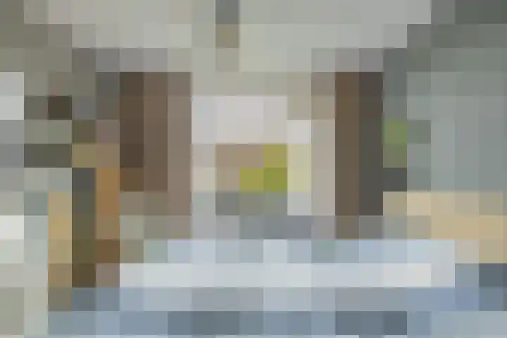 Traptoren 6 Middelburg thumbnail 34