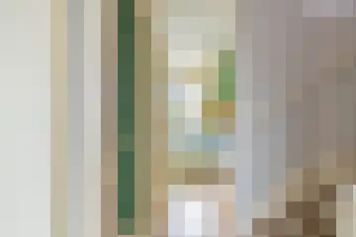 Traptoren 6 Middelburg thumbnail 35