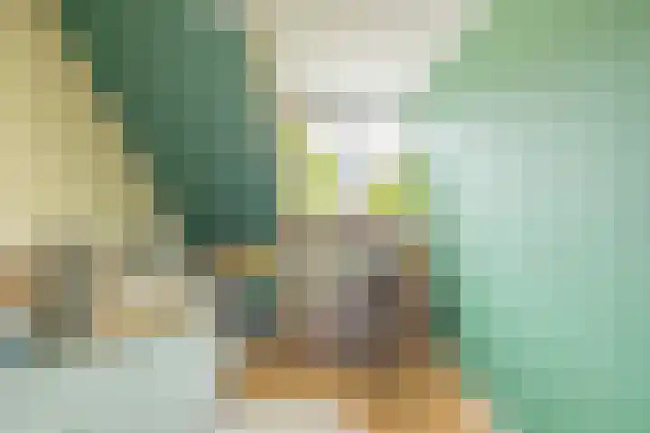 Traptoren 6 Middelburg thumbnail 37