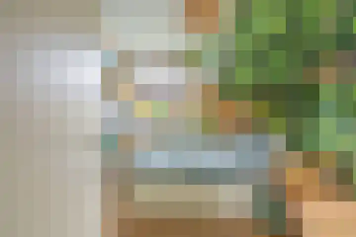Traptoren 6 Middelburg thumbnail 39