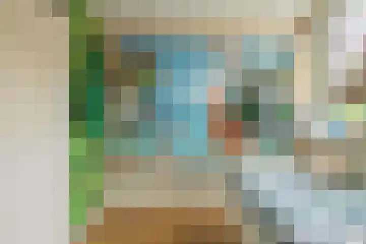 Traptoren 6 Middelburg thumbnail 41