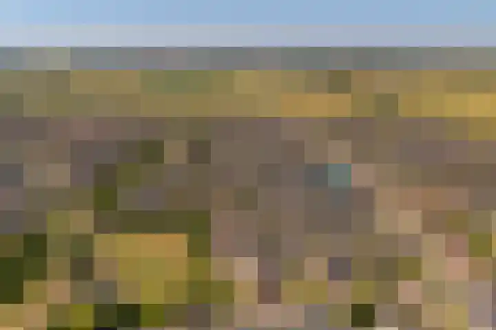 Traptoren 6 Middelburg thumbnail 5