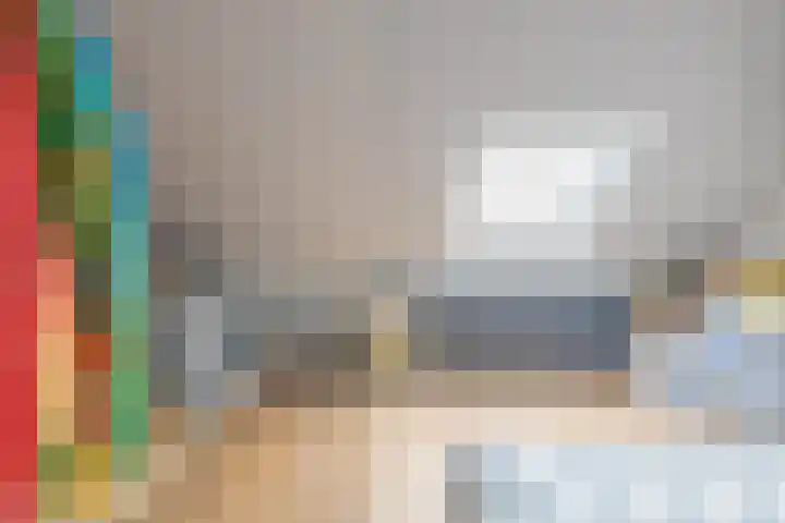 Traptoren 6 Middelburg thumbnail 51
