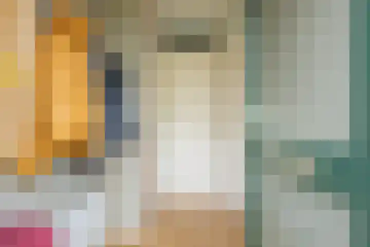 Traptoren 6 Middelburg thumbnail 7