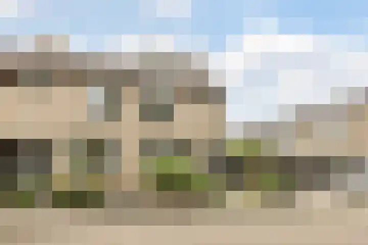 Trasmolen 2 in Heerjansdam