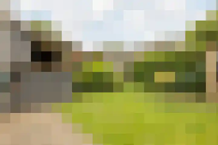 Trasmolen 2 Heerjansdam thumbnail 11