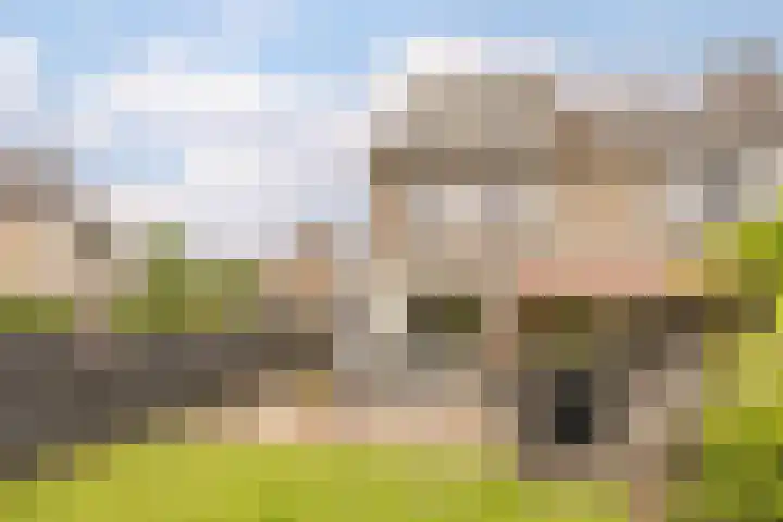 Trasmolen 2 Heerjansdam thumbnail 13
