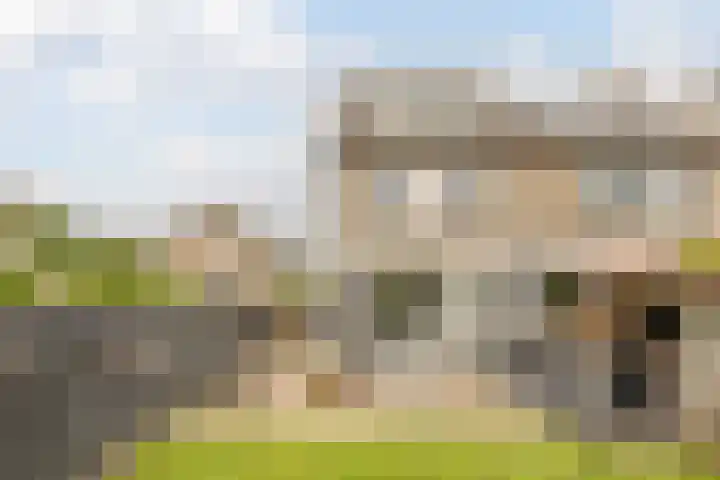 Trasmolen 2 Heerjansdam thumbnail 14