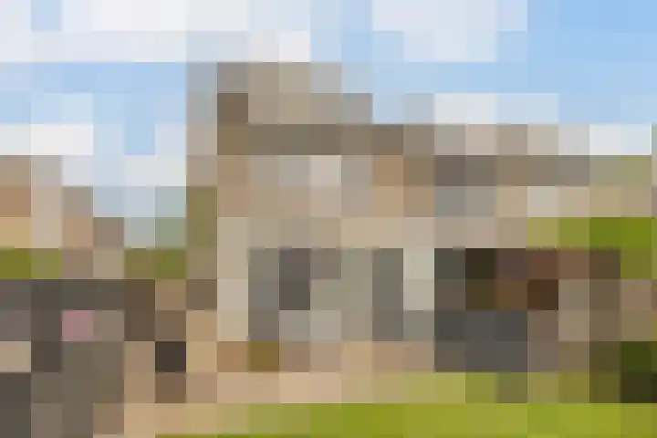 Trasmolen 2 Heerjansdam thumbnail 15