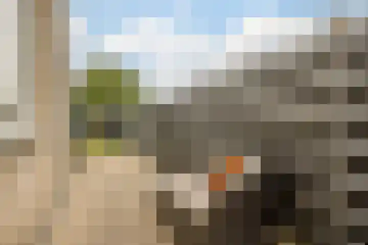 Trasmolen 2 Heerjansdam thumbnail 17