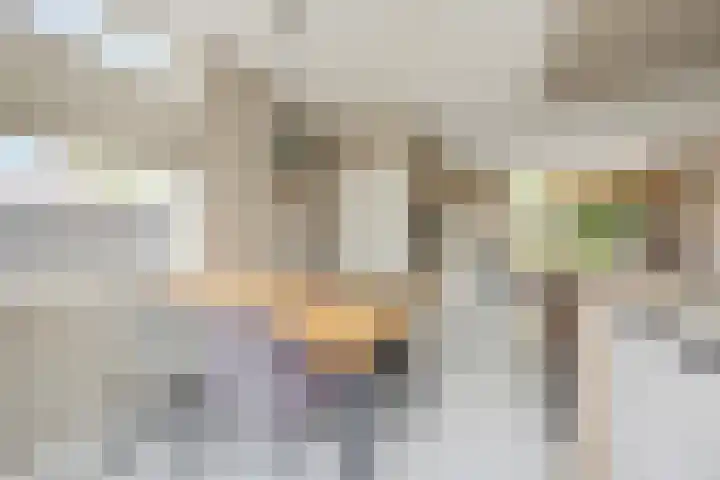 Trasmolen 2 Heerjansdam thumbnail 18