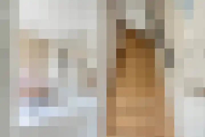 Trasmolen 2 Heerjansdam thumbnail 20