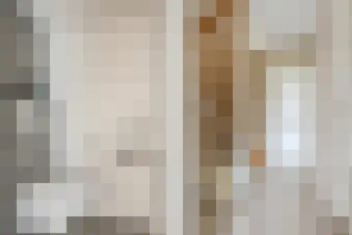 Trasmolen 2 Heerjansdam thumbnail 21