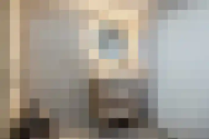 Trasmolen 2 Heerjansdam thumbnail 25