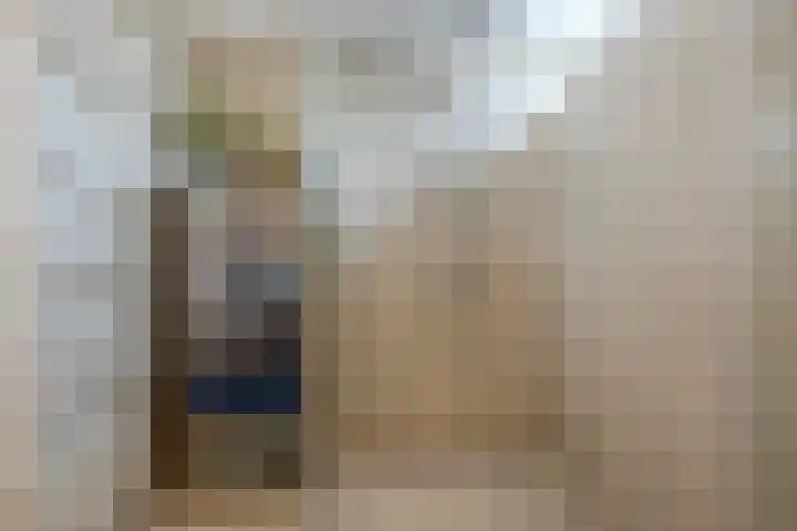 Trasmolen 2 Heerjansdam thumbnail 26