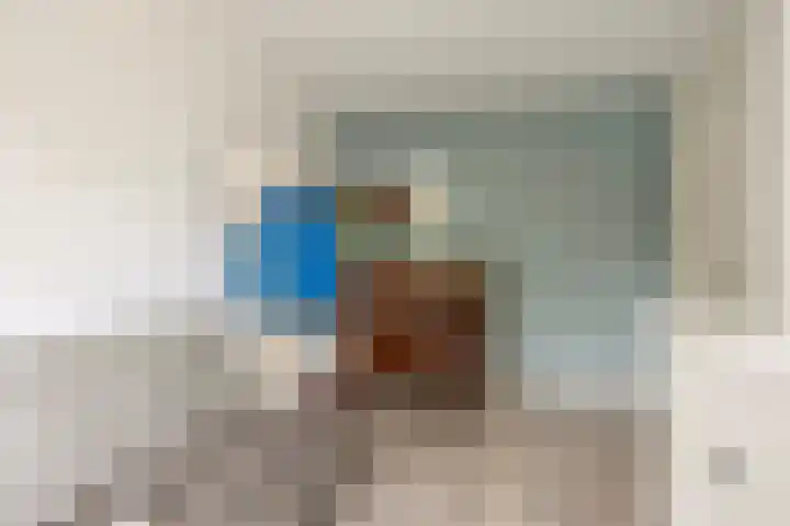 Trasmolen 2 Heerjansdam thumbnail 29