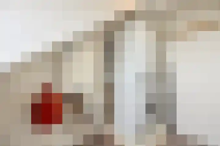 Trasmolen 2 Heerjansdam thumbnail 33