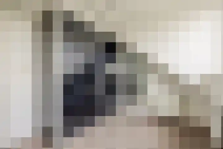 Trasmolen 2 Heerjansdam thumbnail 34