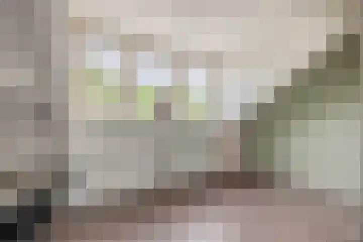 Trasmolen 2 Heerjansdam thumbnail 35