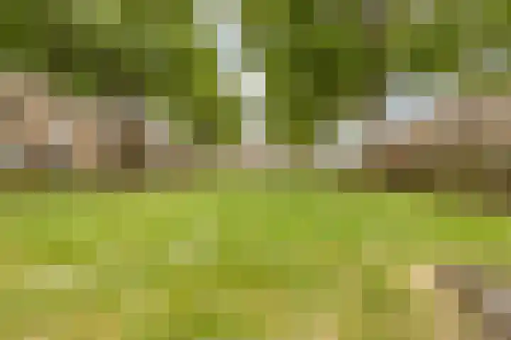 Trasmolen 2 Heerjansdam thumbnail 42