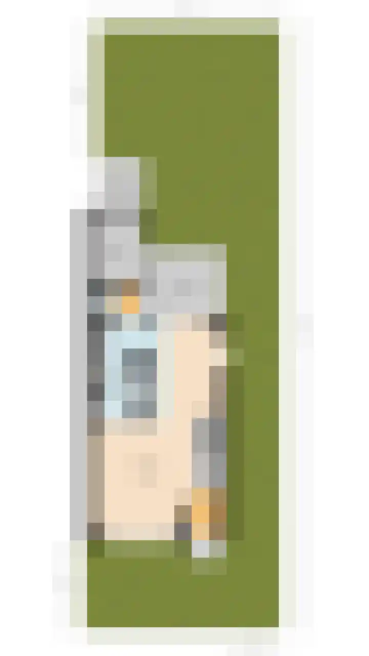 Trasmolen 2 Heerjansdam thumbnail 45