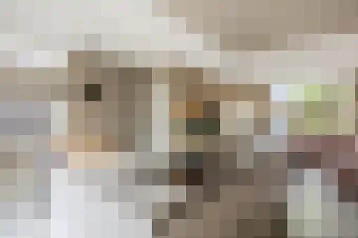 Trasmolen 2 Heerjansdam thumbnail 7