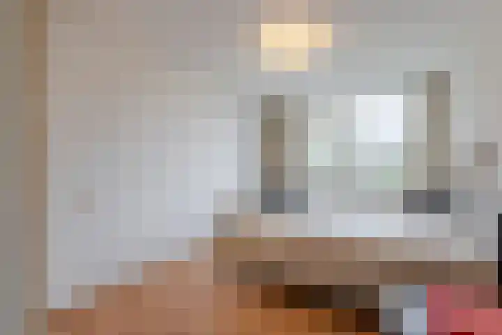 Trasmolen 4 Papendrecht thumbnail 12