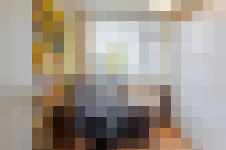 Trasmolen 4 Papendrecht thumbnail 13