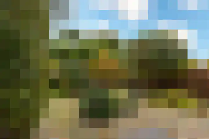 Trasmolen 4 Papendrecht thumbnail 17