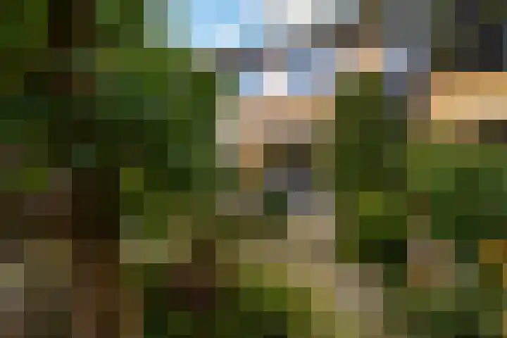 Trasmolen 4 Papendrecht thumbnail 19