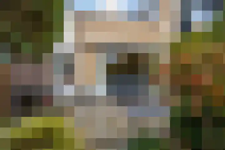 Trasmolen 4 Papendrecht thumbnail 20