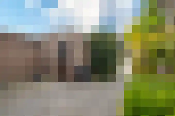Trasmolen 4 Papendrecht thumbnail 22