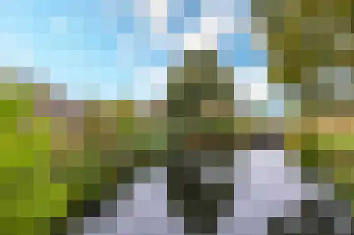 Trasmolen 4 Papendrecht thumbnail 24