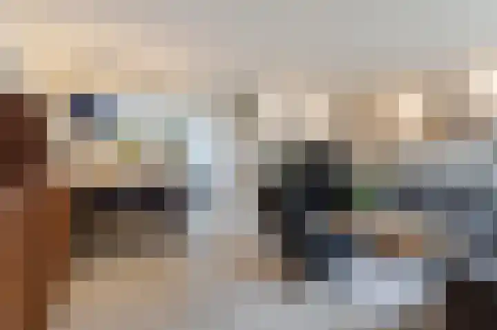 Trasmolen 4 Papendrecht thumbnail 4
