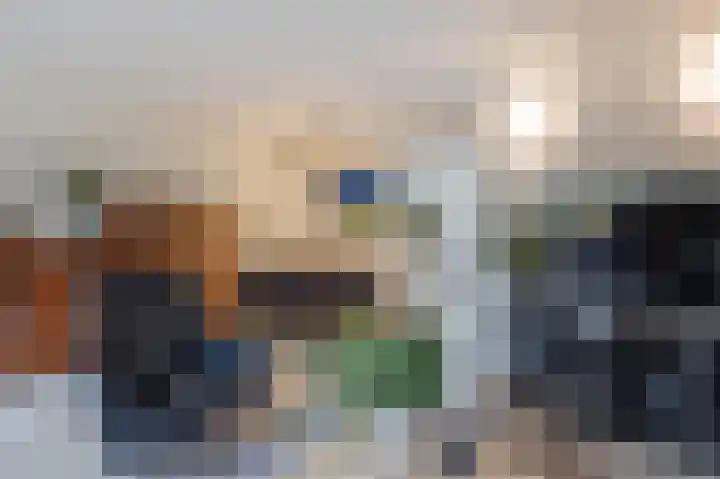 Trasmolen 4 Papendrecht thumbnail 5
