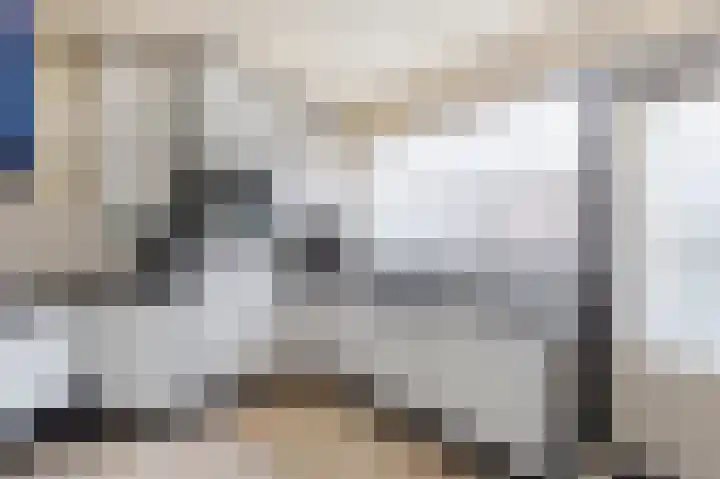 Trasmolen 4 Papendrecht thumbnail 6