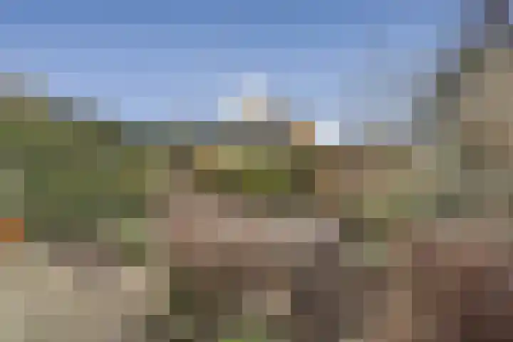 Trasmolen 5 Papendrecht thumbnail 10