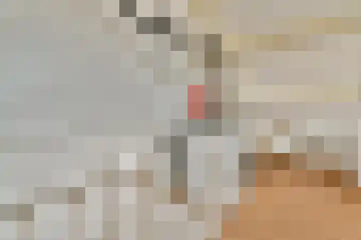 Trasmolen 5 Papendrecht thumbnail 20