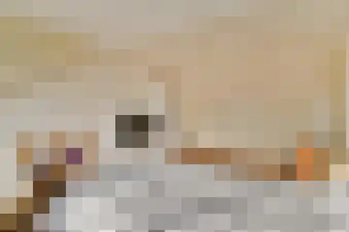 Trasmolen 5 Papendrecht thumbnail 22