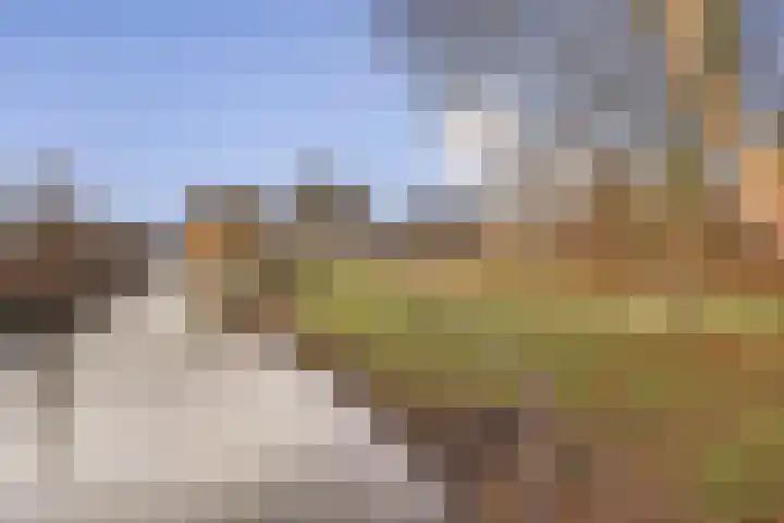 Trasmolen 5 Papendrecht thumbnail 25