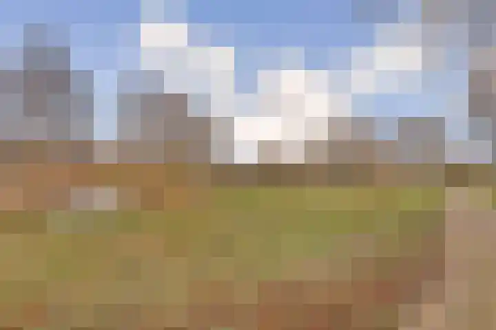 Trasmolen 5 Papendrecht thumbnail 26