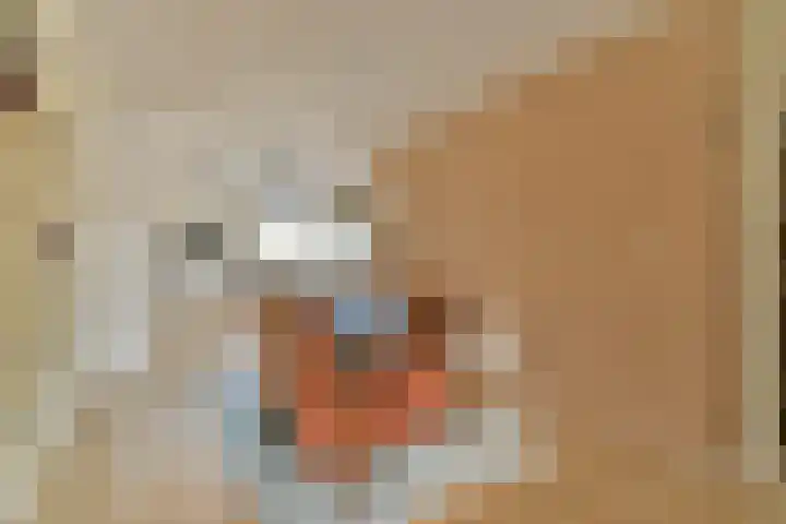 Trasmolen 5 Papendrecht thumbnail 4