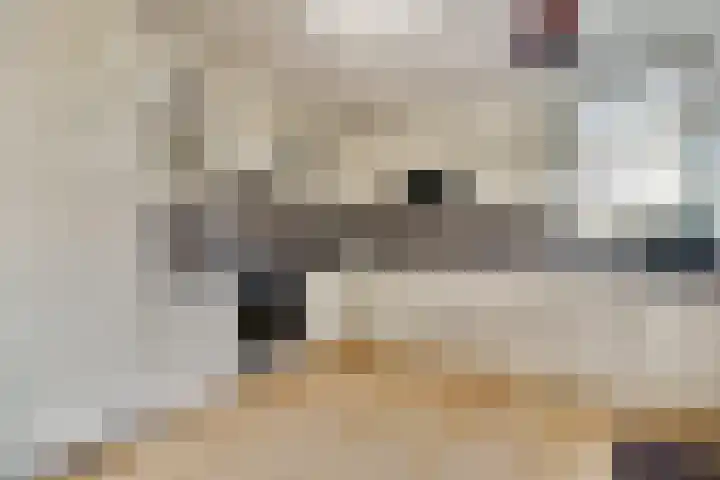 Trasmolen 5 Papendrecht thumbnail 5