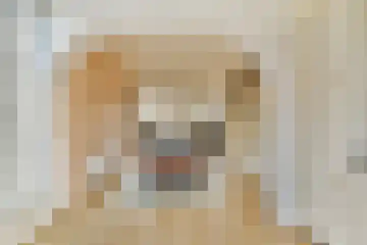 Trasmolen 5 Papendrecht thumbnail 6