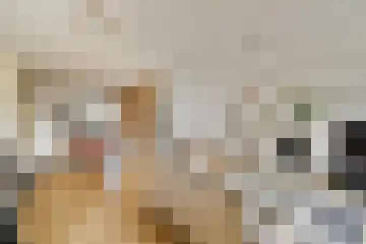 Trasmolen 5 Papendrecht thumbnail 7
