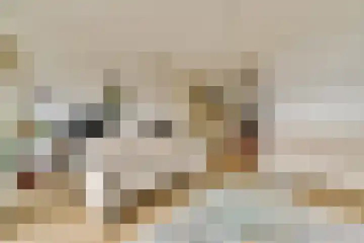 Trasmolen 5 Papendrecht thumbnail 8