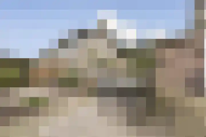 Trasmolen 5 Papendrecht thumbnail 9