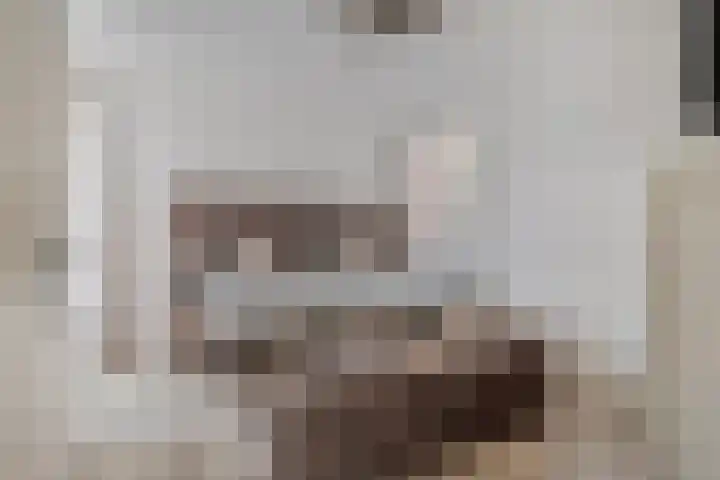 Travers 11 Naarden thumbnail 27