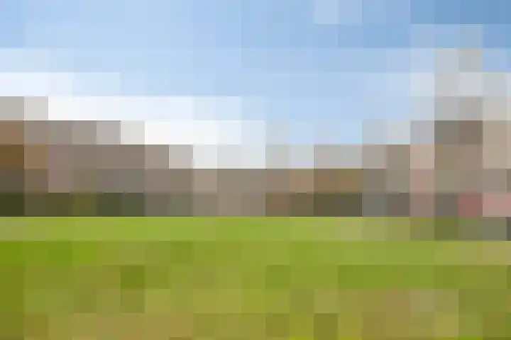 Travers 11 Naarden thumbnail 38